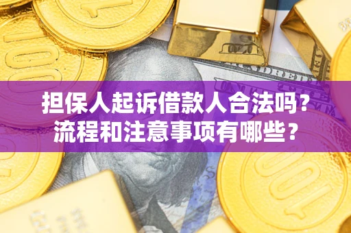 武汉担保人起诉借款人合法吗？流程和注意事项有哪些？