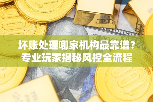 武汉坏账处理哪家机构最靠谱？专业玩家揭秘风控全流程
