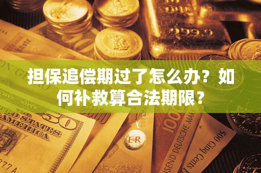 武汉担保追偿期过了怎么办？如何补救算合法期限？