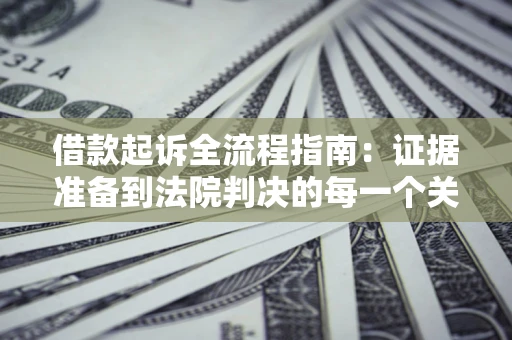 武汉借款起诉全流程指南：证据准备到法院判决的每一个关键步骤