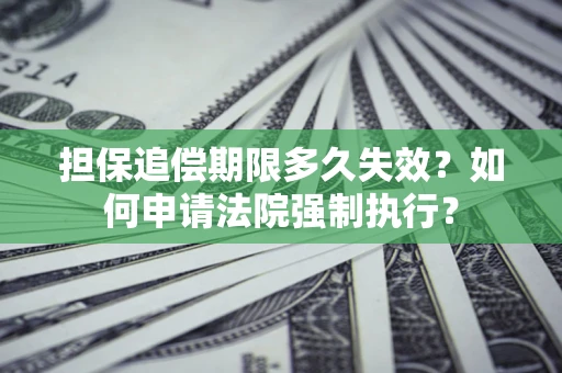 武汉担保追偿期限多久失效？如何申请法院强制执行？