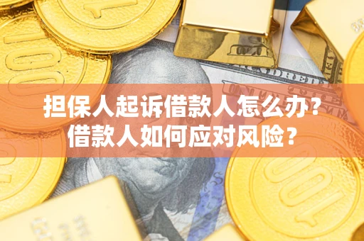 武汉担保人起诉借款人怎么办？借款人如何应对风险？