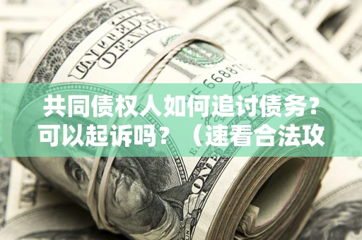 武汉共同债权人如何追讨债务？可以起诉吗？（速看合法攻略）