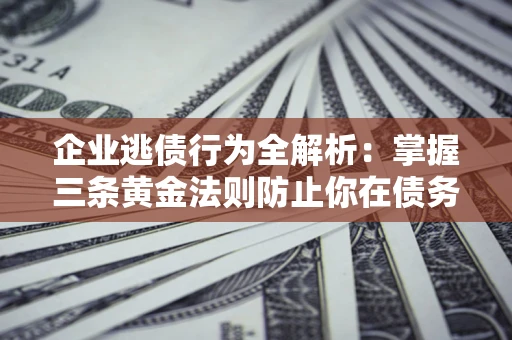 武汉企业逃债行为全解析：掌握三条黄金法则防止你在债务乱局中“踩雷”