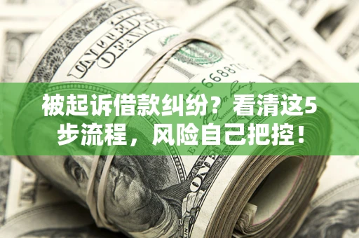 武汉被起诉借款纠纷？看清这5步流程，风险自己把控！