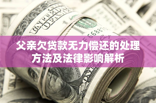 武汉父亲欠贷款无力偿还的处理方法及法律影响解析