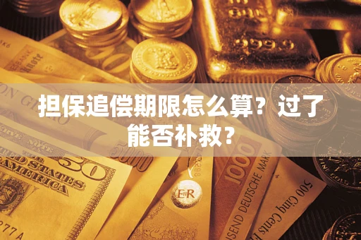 武汉担保追偿期限怎么算？过了能否补救？